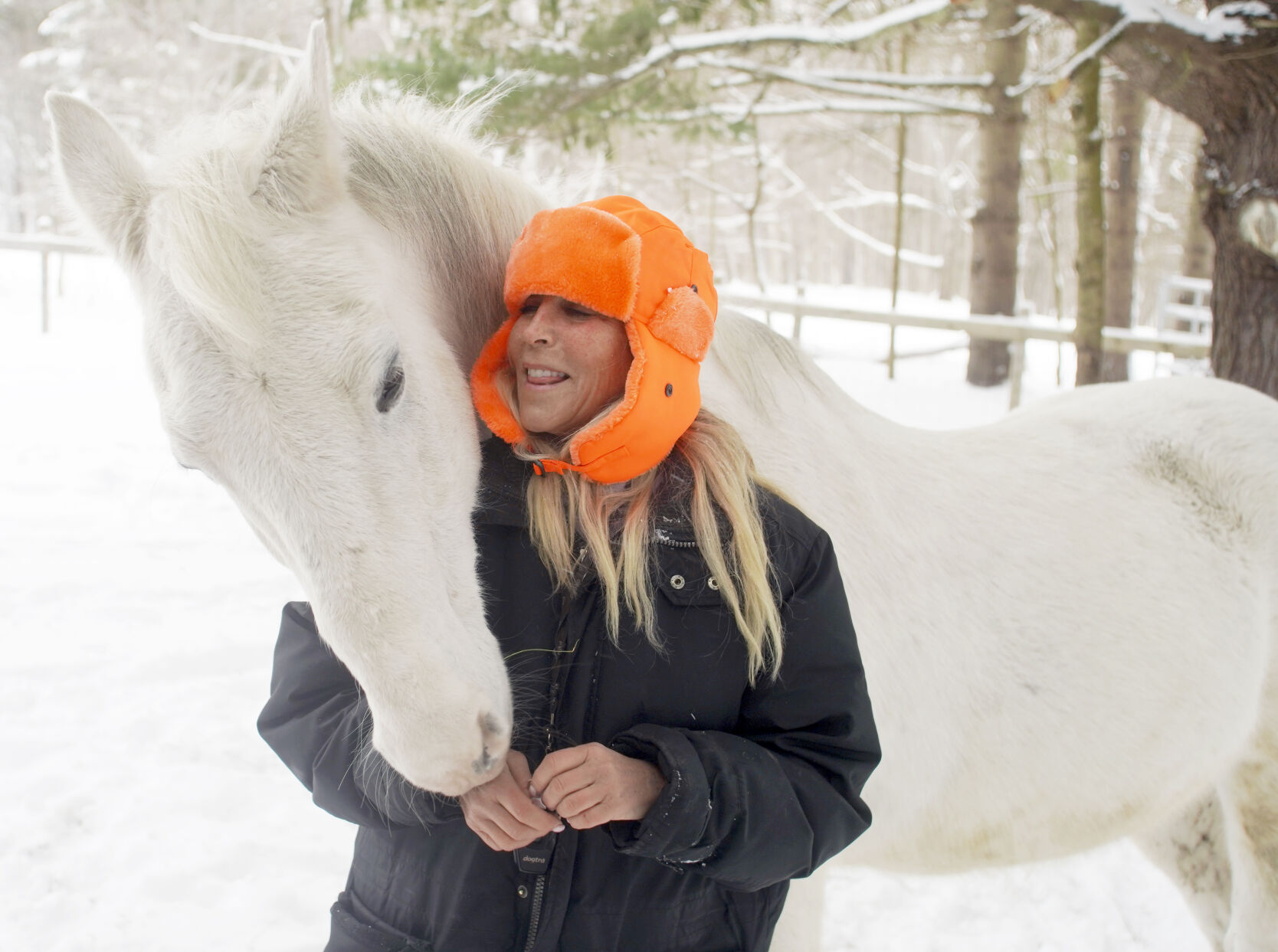 HORSEWORKS-4.jpg